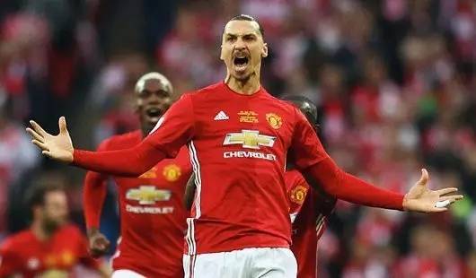 他们不仅拥 他们不仅拥